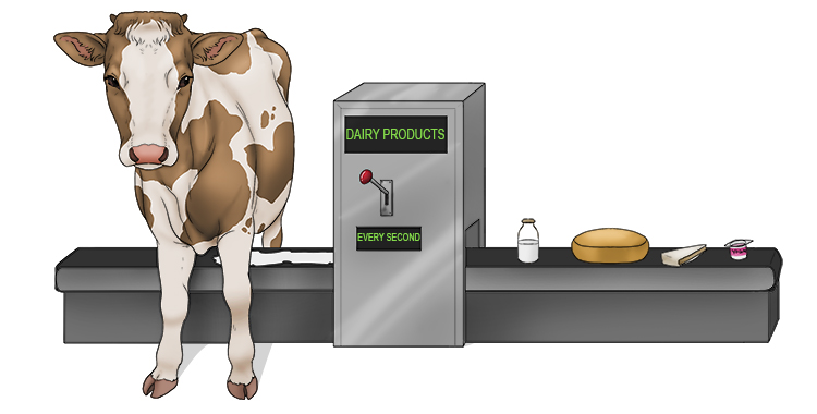 Every second, a dairy (secondary industry) product comes off the conveyer belt. The business uses raw materials to manufacture products.